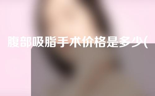 腹部吸脂手术价格是多少(腹部吸脂手术价格是多少钱)